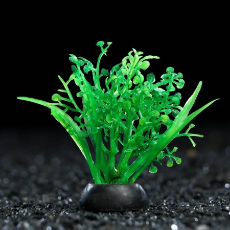 Artificial aquarium plant, 5 cm, green