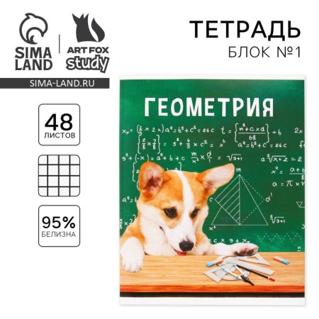 An objective note 48 sheets, A5, cute pets, with reference materials “September 1: Geometry”, cover coated cardboard 230 gr., Inner block in a cage 80 gr., Sweetie 96%, block No. 1.
