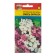 Flower seeds Vespers "mixture of colors", 0.3 g