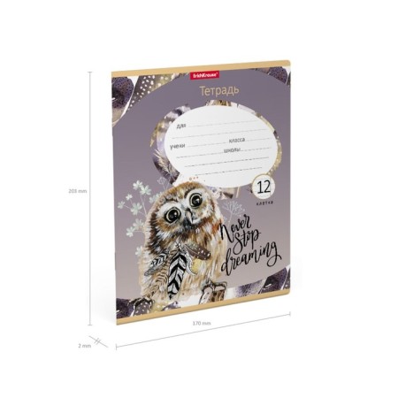 Notebook of 12 sheets in the Erichkrause "Dream Owl", the cover coated cardboard, an offset unit-2