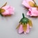 Budon on the leg for decoration "Rose Mondial" Lilac 1.7x3 cm