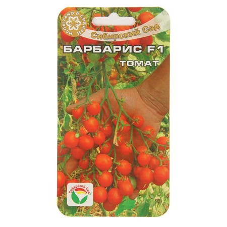 Seeds Tomat "Barberry" F1, Early Nespeli, 15 pcs