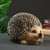 Pigger "Round Hedgehog" 18x16x25cm