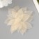 Leaves skeletered for creativity "bodily" set 20 pcs h = 6-6.5 cm