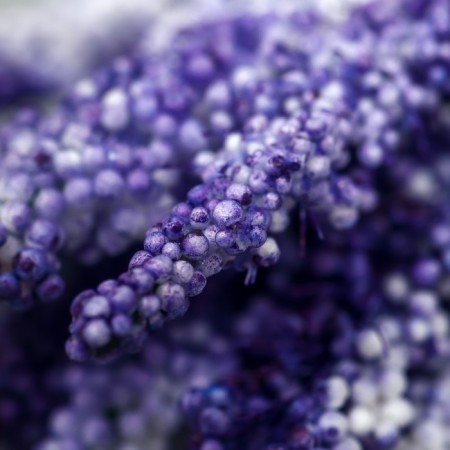Decor for creativity "Ivan Tea" 1 bouquet = 10 flowers purple 1.5x14 cm-3