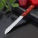 Knife for meat and steaks of the delay "Machete", blade 17.5 cm