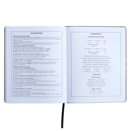 Universal Diary Grade 1-11, 48 sheets "graffitist", covering of artificial leather, liesa, offset block-9
