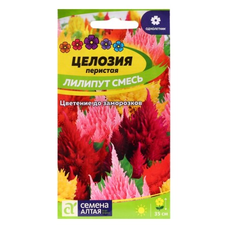 Flower seeds holosa lilliput mixture of periyas, o, CP, 0.1 g-2