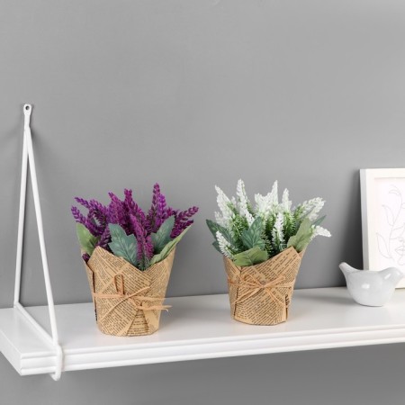 Bonsai in the Lavenda Gentle pot 10x15 cm, mix-2