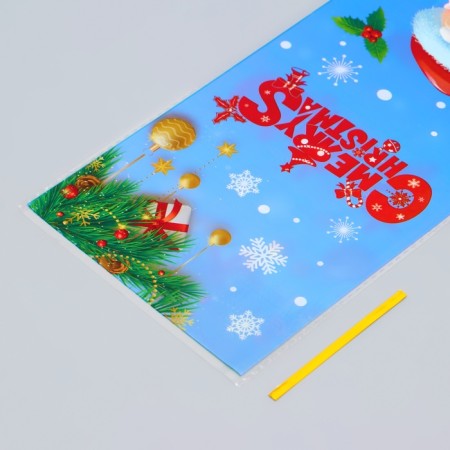 BOPP BOPP Package, "Mix New Year", 13 x 27.5 cm-7