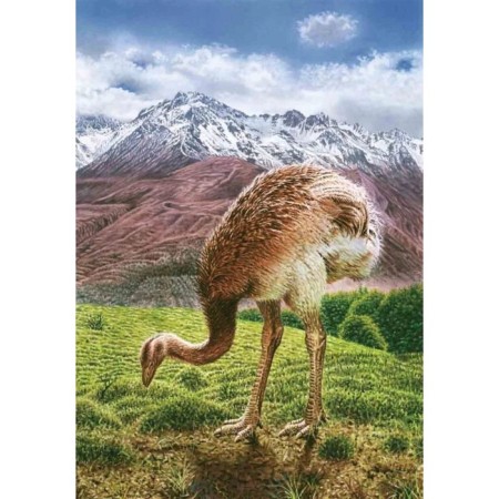 The book of disappeared animals. Biobook Tolmacheva A.-5