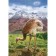 The book of disappeared animals. Biobook Tolmacheva A.