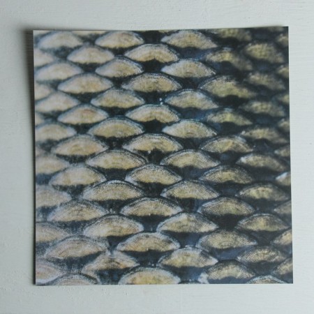 A set of scrapbooking paper with foil "for fishing", 12 sheets, 30.5 × 30.5 cm-11