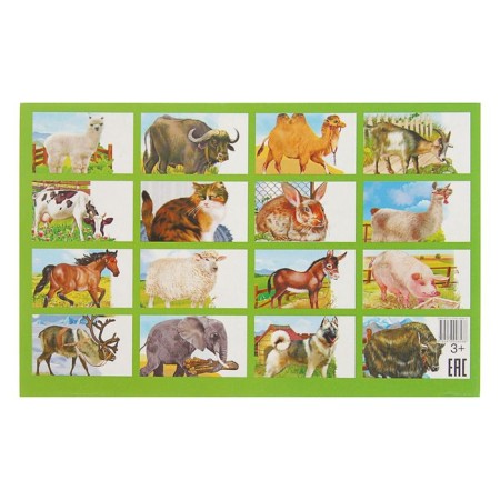 Training cards "Pets"-2