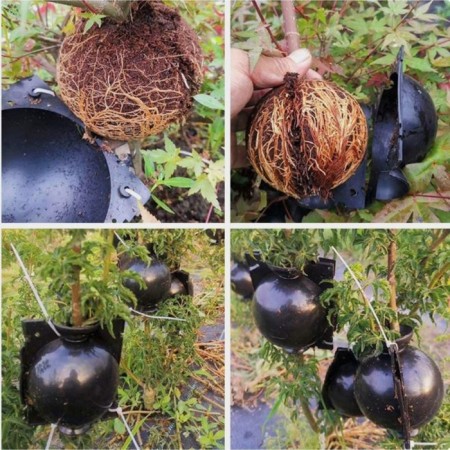Ball for rooting plants, D = 8 cm, under a branch 1 cm, black, Greengo-6