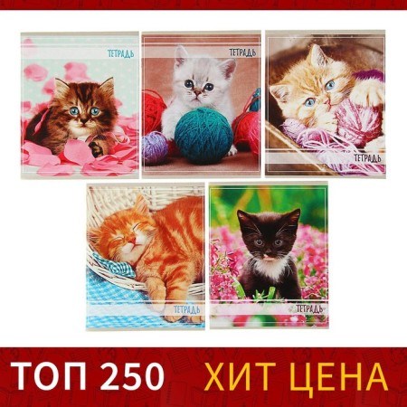 Notebook of 36 sheets in Calligrata Call "kittens", covered cardboard cover, offset unit, mix