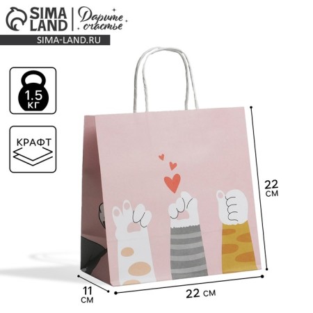 Gift package, packaging, Kisa, 22 x 22 x 11 cm