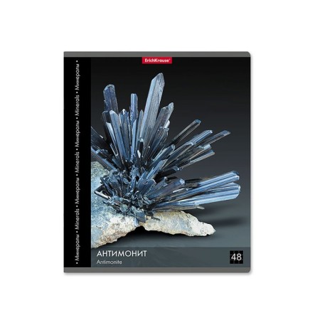 Notebook 48l Erichkrause "Encyclopedia: Minerals", mix-6