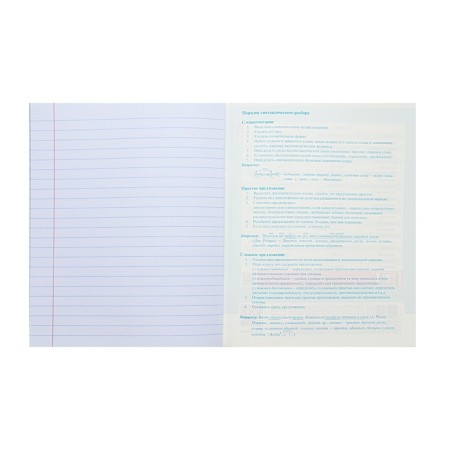Notebook "Notebook", 48 sheets in the "Russian Language" line, cover coated cardboard, selective varnish, with reference material-3