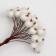 Decorative berries, white, 7 × 6 × 7 cm, 40 berries