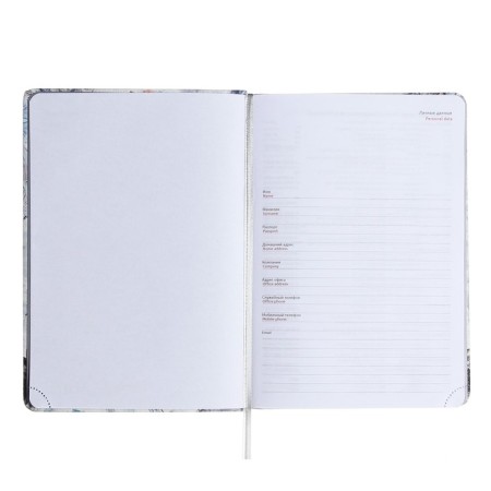 Leduced Diary A5, 160 sheets, Devente.elizabeth, solid cover of artificial leather with foam rubber, color cut, a, clock 70 g/m2, gray-3