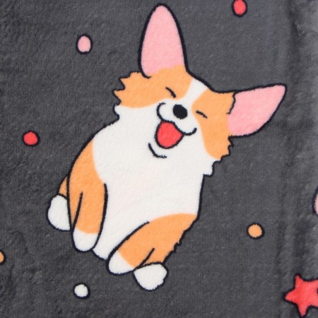 Pacific Freedom Corgi 100x150cm, Aerosoft 190 g/m, polyester 100%-3