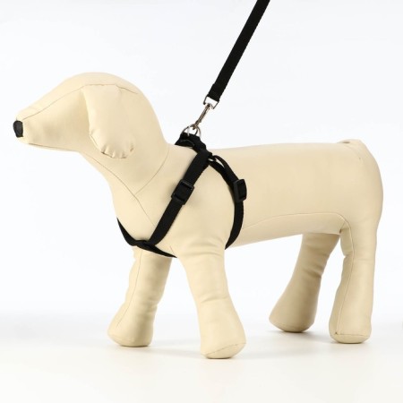 Set "Basis", leash 120 x 1.5 cm, OG 32-46 cm, black-6