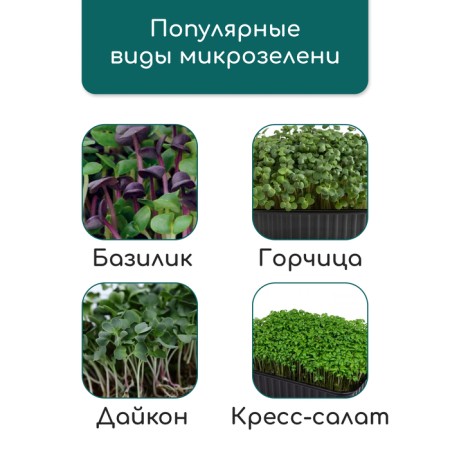 Coconut fiber rug, for growing microwaves, 50 × 25 cm, Greengo-10