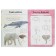 Entertaining book "Wild Animals"