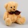 Soft toy "Bear"
