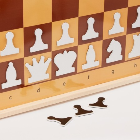 Demonstration chess and checkers 61 x 61 cm, on a magnetic board, king 6.4 cm-4