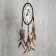 Dreams 4 "Gray Wolf" Circle d = 20 cm