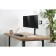 Crasstein for Monitors Ultramounts UM737 Black 17 "-32" Max.8kg mount to the countertop 107046