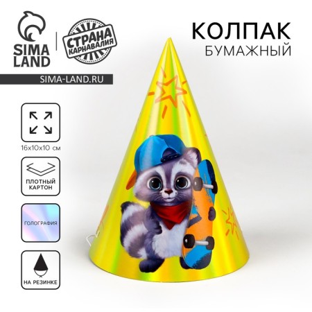 Holographic cap "raccoon"