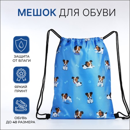 Bag for shoes on the lace, blue color