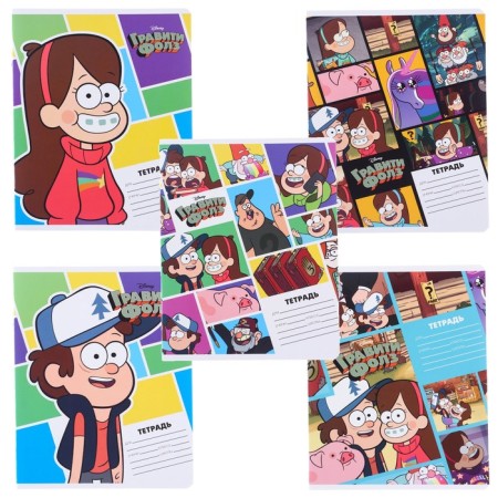 Notebook in a line of 24 sheets, 5 types of mix, cover coated cardboard, gravity farz-2