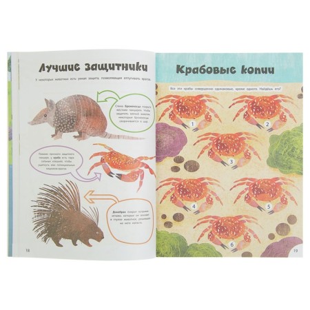 Entertaining book "Wild Animals"-2
