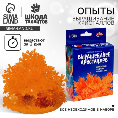 Set for growing the crystal “Experiments. Radiant crystals ", Orange color