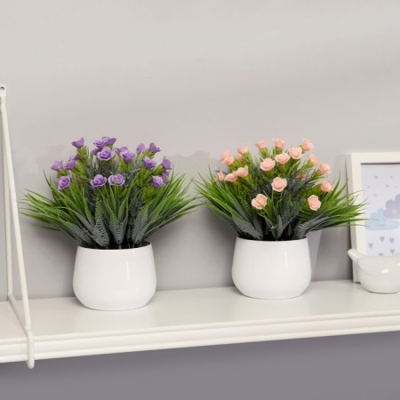 Bonsai "heart rose" 9x23 cm, mix-3