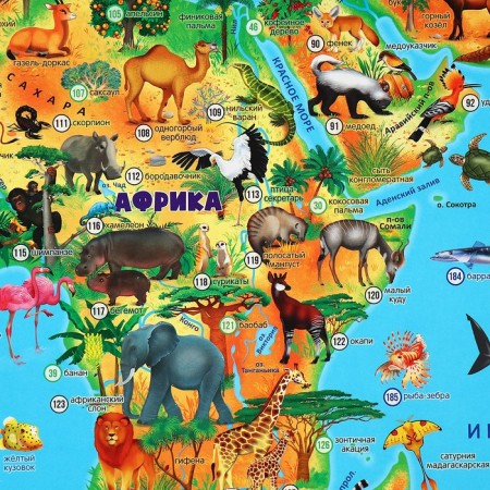 Wall map "Our planet. Animal and plant world", geod, 101x69 cm, laminated-1