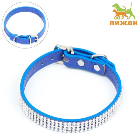 A collar with rows of 4 rows and rhinestones on a buckle, 38 x 1.5 cm, Osh 26-33, blue