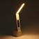 Clock - Electronic lamp: calendar, thermometer, organizer, 5 W, 20 LED, 3 modes, USB