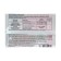 Remedy for insect-pests "Zubr", 1 ml