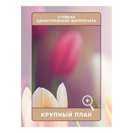 Фотошторы «Поле тюльпанов», сатен, размер 145х180 см, 2 шт-2