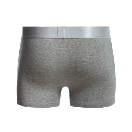 Panties men's panties, color gray mix, size 54-8