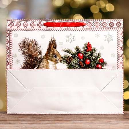 Laminated horizontal "Squirrel!" Packet, 49 x 40 x 19 cm-1