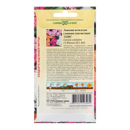 Lewisia Seeds "Alice", 5 pcs.-1