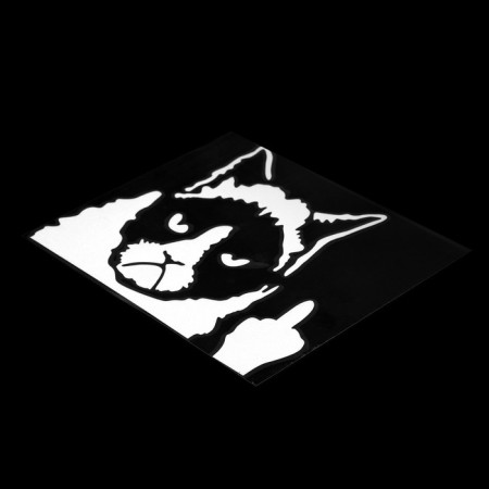 A car on a car 10 x 13 cm, reflective, "cat"-1