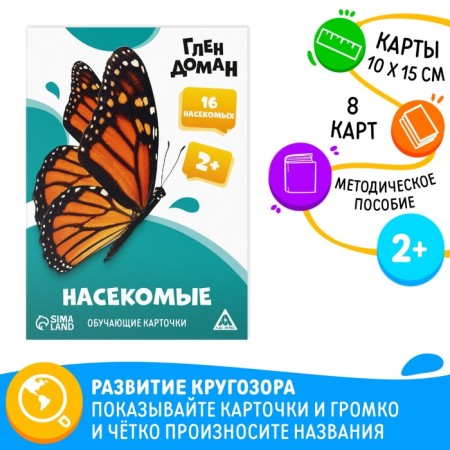 Training cards according to the methodology of Glena Doman "Insects", 8 cards, 2+