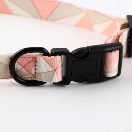 Set "Rombs", fastener - fastx, leash 2 m and collar 28-46 cm-6